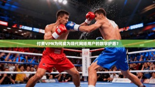 付费VPN为何成为现代网络用户的数字护盾？