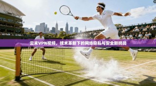 云末VPN视频，技术革新下的网络隐私与安全新挑战