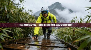 小马搜索挂VPN，网络访问新挑战与安全风险解析