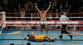Windows 7环境下SSL VPN客户端下载与配置指南（2024年最新实操教程）