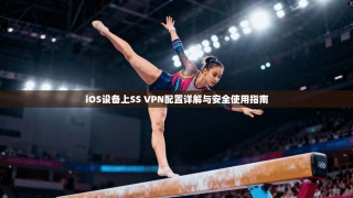 iOS设备上SS VPN配置详解与安全使用指南