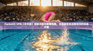 PacketiX VPN（中文版）深度评测与部署指南，企业级安全远程访问的优选方案