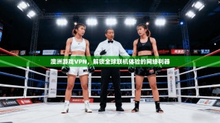 澳洲游戏VPN，解锁全球联机体验的网络利器