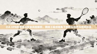 小A VPN的使用与安全风险解析，网络工程师视角下的隐私保护与合规挑战