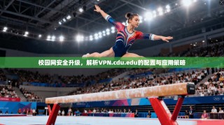 校园网安全升级，解析VPN.cdu.edu的配置与应用策略