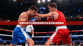 花香VPN iOS版使用指南与安全风险深度解析