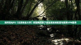 如何在BJFU（北京林业大学）校园网环境下安全高效地配置与使用VPN服务