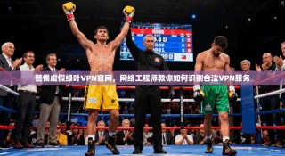 警惕虚假绿叶VPN官网，网络工程师教你如何识别合法VPN服务