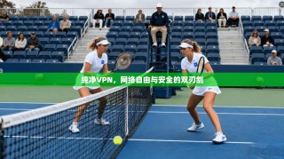 纯净VPN，网络自由与安全的双刃剑