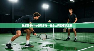 详解帽子VPN使用方法，安全上网的便捷之道