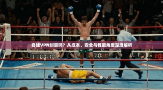 自建VPN划算吗？从成本、安全与性能角度深度解析