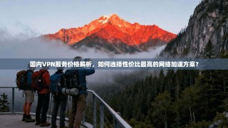 国内VPN服务价格解析，如何选择性价比最高的网络加速方案？