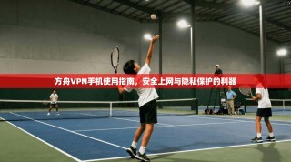 方舟VPN手机使用指南，安全上网与隐私保护的利器