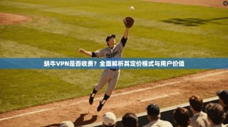 蜗牛VPN是否收费？全面解析其定价模式与用户价值