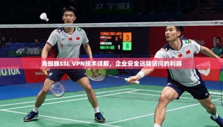 海蜘蛛SSL VPN技术详解，企业安全远程访问的利器