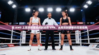 在 AWS 上高效搭建站点到站点 VPN，从规划到部署的完整指南