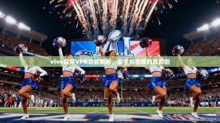vivo自带VPN功能解析，安全与合规的双刃剑