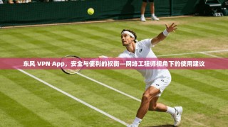 东风 VPN App，安全与便利的权衡—网络工程师视角下的使用建议