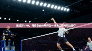 逍遥游VPN，网络自由的双刃剑—技术优势与风险并存