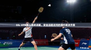 SSL VPN拨入技术详解，安全远程访问的现代解决方案
