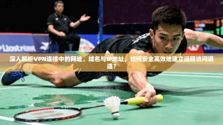 深入解析VPN连接中的网址、域名与IP地址，如何安全高效地建立远程访问通道？