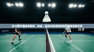 云VPN代理技术解析，安全、高效与灵活性的现代网络连接方案