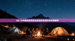 SSL VPN如何实现安全高效的资源共享机制解析