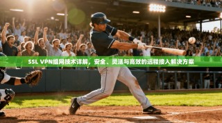 SSL VPN组网技术详解，安全、灵活与高效的远程接入解决方案