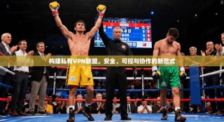 构建私有VPN联盟，安全、可控与协作的新范式