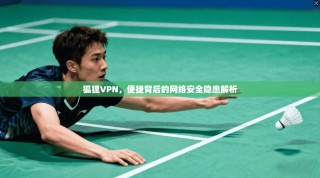 狐狸VPN，便捷背后的网络安全隐患解析