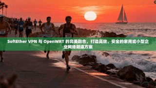 SoftEther VPN 与 OpenWRT 的完美融合，打造高效、安全的家用或小型企业网络隧道方案