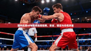 国内优质VPN服务选择指南，安全、稳定与合规并重