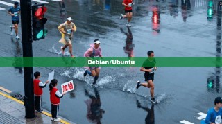Debian/Ubuntu