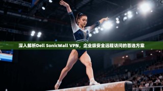 深入解析Dell SonicWall VPN，企业级安全远程访问的首选方案