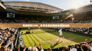有牌照的VPN，合法合规的网络连接新选择