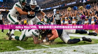 Zebra Mini VPN，轻量级加密工具的性能与安全深度解析