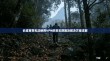 长城宽带无法使用VPN的常见原因及解决方案详解