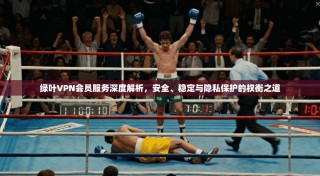 绿叶VPN会员服务深度解析，安全、稳定与隐私保护的权衡之道