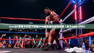 CentOS单网卡环境下搭建VPN服务器的完整指南（基于OpenVPN）