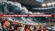 NS Switch与VPN技术融合应用解析，提升网络安全性与灵活性的新路径