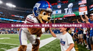 深入解析Ayuwage VPN，安全性、性能与用户隐私的平衡之道