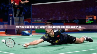 VPN服务器无响应？网络工程师教你快速排查与解决之道