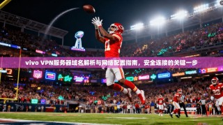 vivo VPN服务器域名解析与网络配置指南，安全连接的关键一步