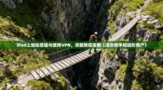 iPad上轻松搭建与使用VPN，完整教程指南（适合新手和进阶用户）