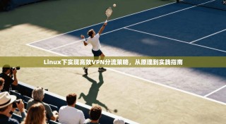 Linux下实现高效VPN分流策略，从原理到实践指南