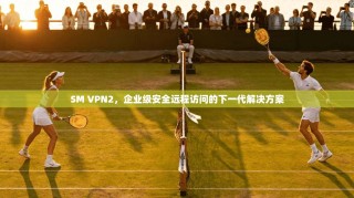 SM VPN2，企业级安全远程访问的下一代解决方案