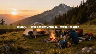 Wallcy，一款真正免费的VPN服务，是便利还是陷阱？