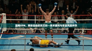 蓝梅VPN，网络自由的双刃剑—技术便利与安全风险并存