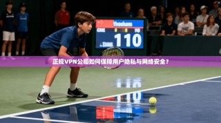 正规VPN公司如何保障用户隐私与网络安全？