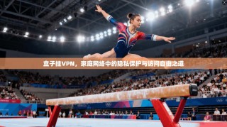 盒子挂VPN，家庭网络中的隐私保护与访问自由之道